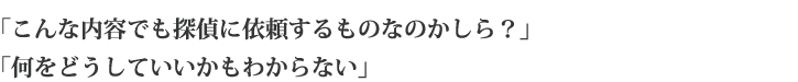 「こんな内容でも探偵に依頼するものなのかしら?」「何をどうしていいかもわからない」