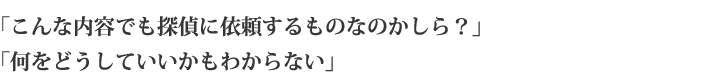 「こんな内容でも探偵に依頼するものなのかしら？」「何をどうしていいかもわからない」
